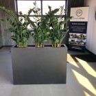 Kunstplanten Studio DWP-4 Kunstplanten Studio DWP-4