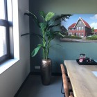 Kunstplanten Studio DWP-5 Kunstplanten Studio DWP-5