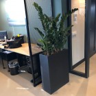 Kunstplanten Studio DWP-6 Kunstplanten Studio DWP-6