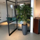 Kunstplanten-almere-3 Kunstplanten-almere-3