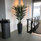 Kunstplanten-almere-4 Kunstplanten-almere-4