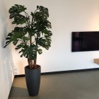 Kunstplanten-almere-5