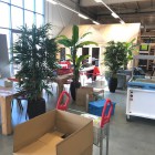 Kunstplanten-beekdaelen-1 Kunstplanten-beekdaelen-1