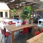 Kunstplanten-beekdaelen-2 Kunstplanten-beekdaelen-2