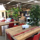 Kunstplanten-beekdaelen-ejpg Kunstplanten-beekdaelen-ejpg