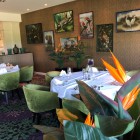 Kunstplanten.emmen.0 (2) Kunstplanten.emmen.0 (2)