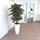 Kunstplanten-interakt-2