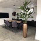 Kunstplanten-kantoor-lelystad-2 (2)