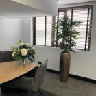Kunstplanten-kantoor-lelystad-3 (2)