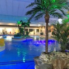 Kunstplanten-zwembad-Tropiqua-veendam-5