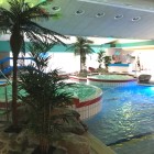 Kunstplanten-zwembad-Tropiqua-veendam-6