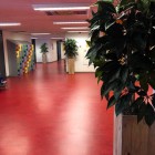 Oosterlicht College kunstplanten 1 Oosterlicht College kunstplanten 1