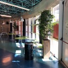 Oosterlicht College kunstplanten 11 Oosterlicht College kunstplanten 11