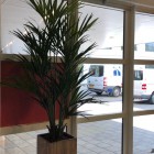 Oosterlicht College kunstplanten 12 Oosterlicht College kunstplanten 12