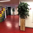 Oosterlicht College kunstplanten 2 Oosterlicht College kunstplanten 2