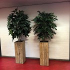 Oosterlicht College kunstplanten 3 Oosterlicht College kunstplanten 3