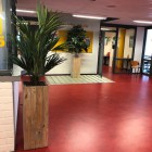 Oosterlicht College kunstplanten 6 Oosterlicht College kunstplanten 6