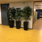 Oosterlicht College kunstplanten 7 Oosterlicht College kunstplanten 7