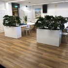 Oosterlicht College kunstplanten 8 Oosterlicht College kunstplanten 8