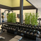 Sfeervolle_kunst_bamboe_planten_sportschool Sfeervolle_kunst_bamboe_planten_sportschool