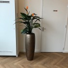 Strellitzia kunstplant-1 (2) Strellitzia kunstplant-1 (2)