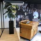 Weesp-kunstplanten-1 (2) Weesp-kunstplanten-1 (2)