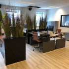 Weesp-kunstplanten-2 (2) Weesp-kunstplanten-2 (2)