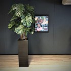 Weesp-kunstplanten-3 (2) Weesp-kunstplanten-3 (2)