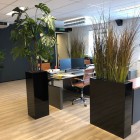 Weesp-kunstplanten-4 (2) Weesp-kunstplanten-4 (2)