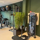 kunst_bamboe_Oriental_met _echt_hout kunst_bamboe_Oriental_met _echt_hout