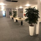 kunstplanten Interakt Contour Loc Ommen-1 kunstplanten Interakt Contour Loc Ommen-1