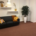 kunstplanten Interakt Contour Loc Ommen-2 kunstplanten Interakt Contour Loc Ommen-2