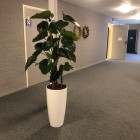 kunstplanten Interakt Contour Loc Ommen-3 kunstplanten Interakt Contour Loc Ommen-3