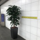 Kunstplanten Mac Car Wash te Amersfoort Kunstplanten Mac Car Wash te Amersfoort