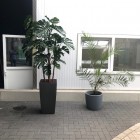 Kunstplanten Mac Car Wash te Amersfoort Kunstplanten Mac Car Wash te Amersfoort