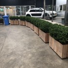 Kunstplanten Mac Car Wash te Amersfoort Kunstplanten Mac Car Wash te Amersfoort