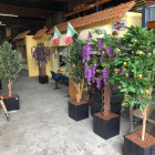 kunstplanten-Ome-piet kunstplanten-Ome-piet