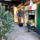 kunstplanten-Ome-piet-1 kunstplanten-Ome-piet-1