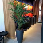 kunstplanten-almere-2 kunstplanten-almere-2