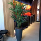 kunstplanten-almere-2