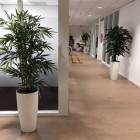 kunstplanten-harderwijk-11 kunstplanten-harderwijk-11