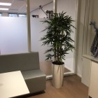 kunstplanten-harderwijk-12