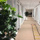 kunstplanten-harderwijk-3 kunstplanten-harderwijk-3