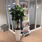 kunstplanten-harderwijk-4 kunstplanten-harderwijk-4