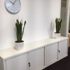 kunstplanten-harderwijk-6 kunstplanten-harderwijk-6
