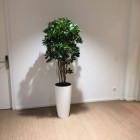 kunstplanten-harderwijk-8 kunstplanten-harderwijk-8
