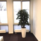 kunstplanten-harderwijk-9 kunstplanten-harderwijk-9