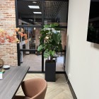 kunstplanten-kantoor-2 kunstplanten-kantoor-2