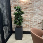 kunstplanten-kantoor-3 kunstplanten-kantoor-3