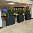 kunstplanten-kantoor-5 kunstplanten-kantoor-5